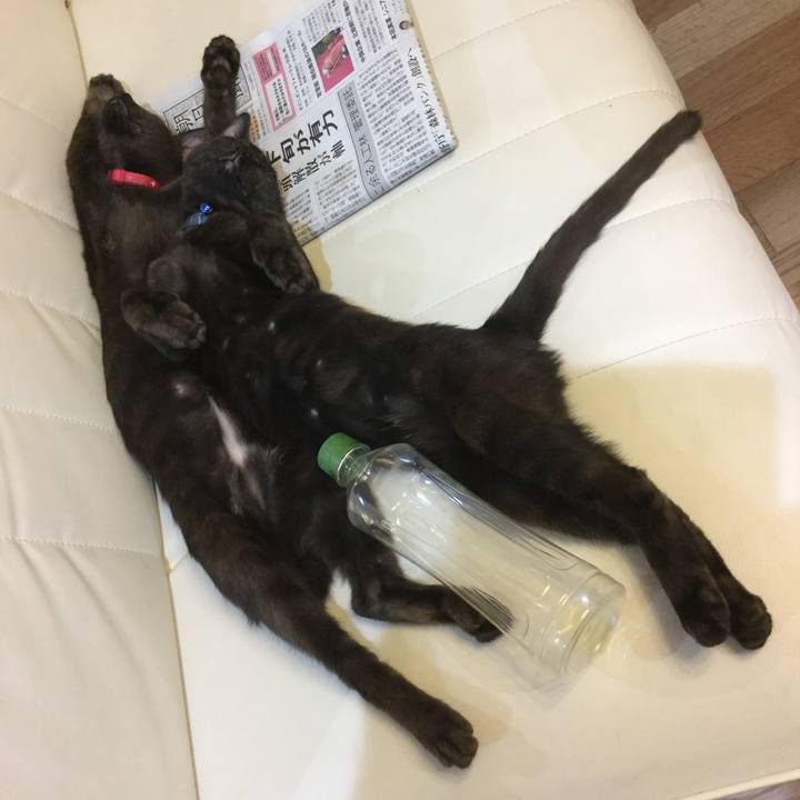 E7347847 08fc 4c15 aa77 9c005ede9b6b