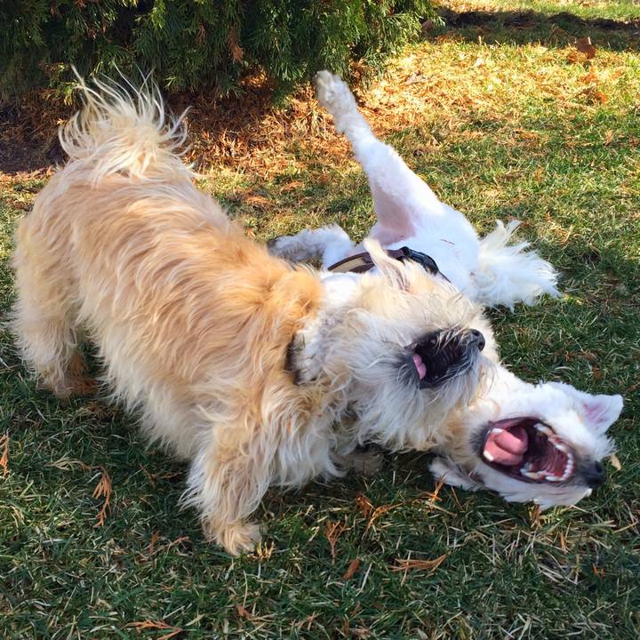 E734ff10 fc2f 41ac a4de 011c8dc2c3a9