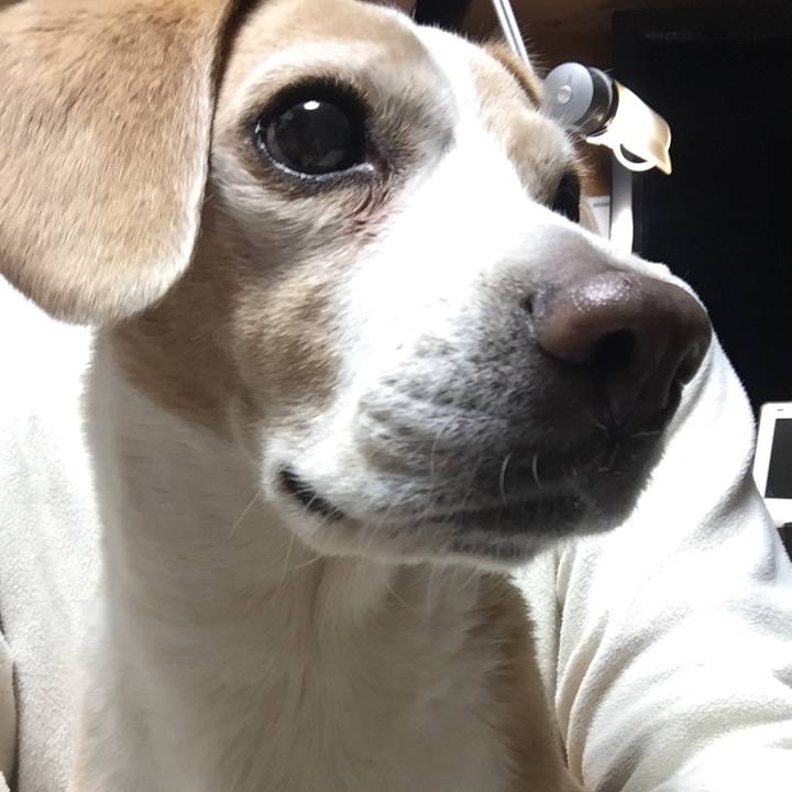 E7353484 78ab 4fd9 b88e 87e3573ff528