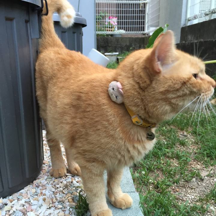 E735dcc0 1972 4a87 9505 0914a2a76701