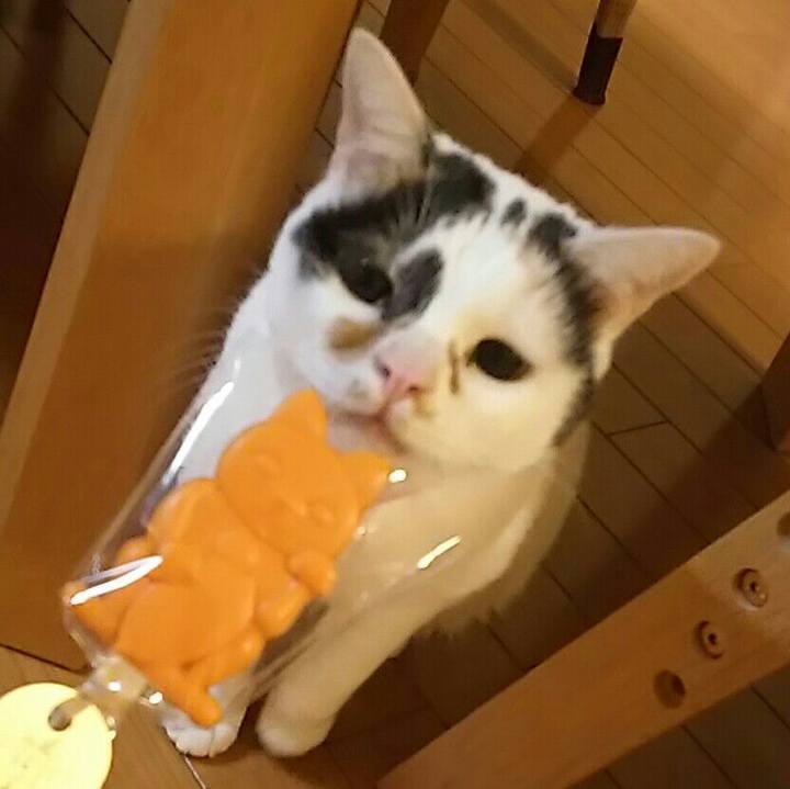 E737623b acb9 4088 9b65 98bca522aa5c