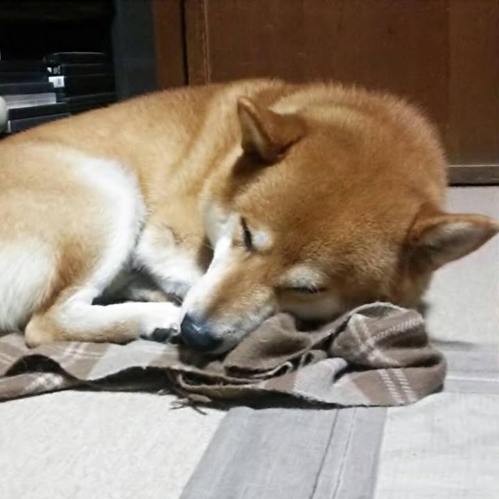 E738d8fe 4f1c 4c65 aa6f 97d60dd40044