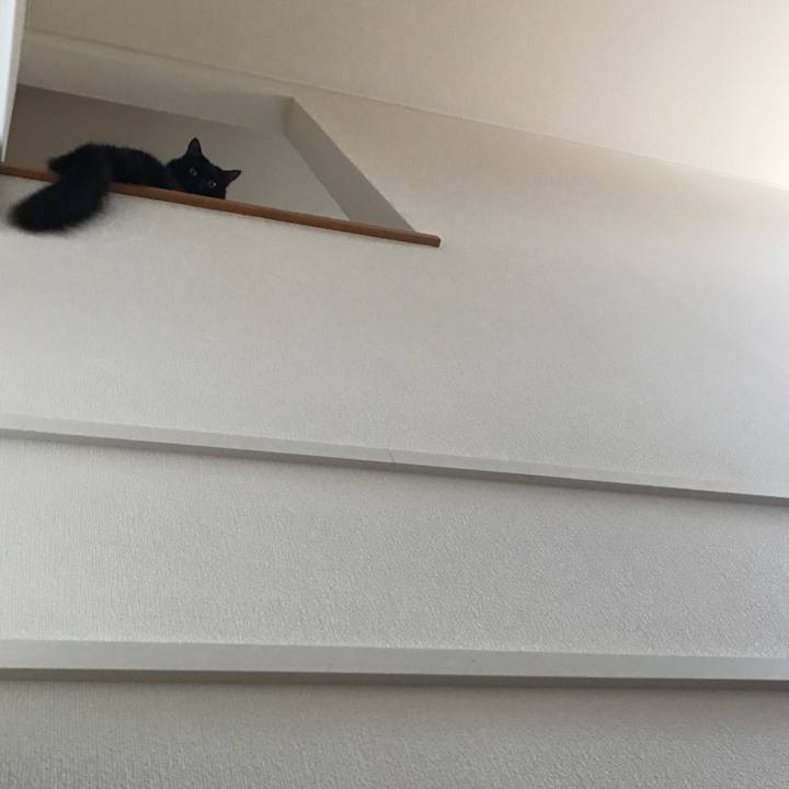 E73962e4 ff4d 4977 a250 e6b7b1edae9a