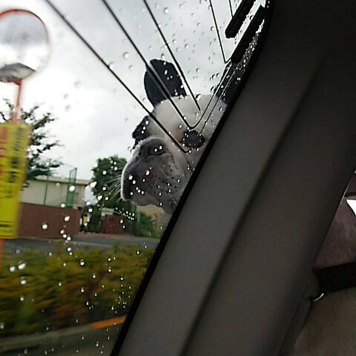 E739ad59 2ef5 4370 8fdb 99d1d1e52f8c