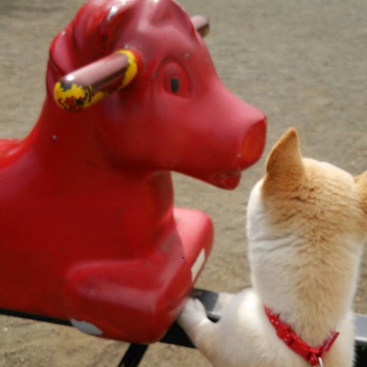 E73a42b6 d06a 4677 8d26 211934063d78