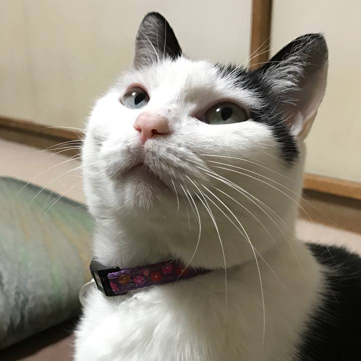 E73a6d90 5056 4e33 8681 576694584647