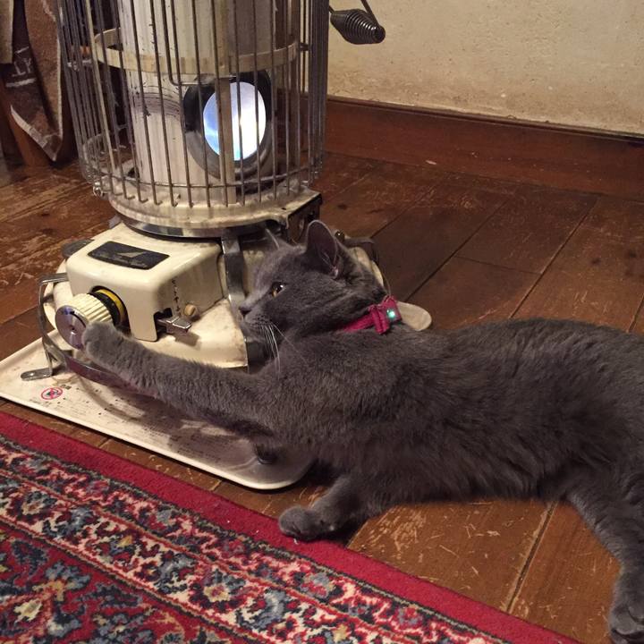 E73a9c10 bd87 4992 9ba0 25d4c2729528