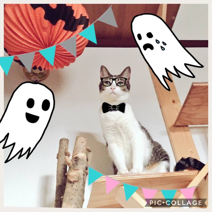 E73b7b7c d2e6 4743 b767 c92007218d5d