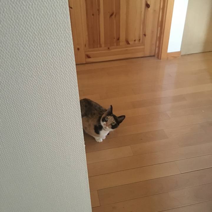 E73bfc06 3e7b 457f 8ee6 7bfa46f85043