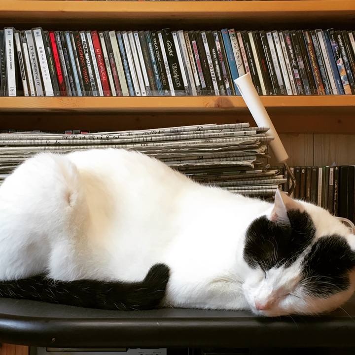 E73cf27c b99b 4f69 83b1 4f458481d464