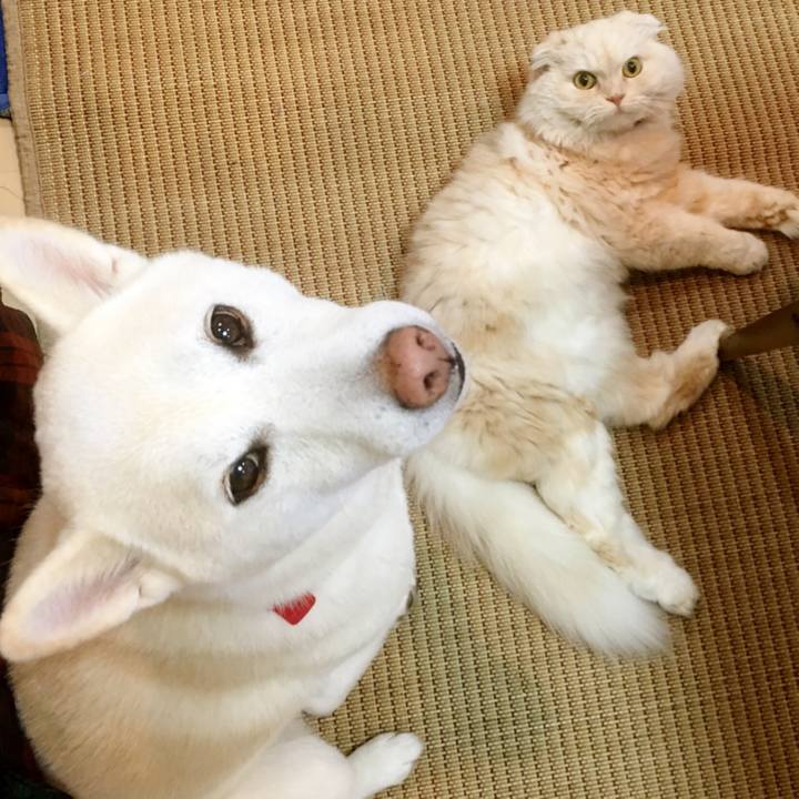 E73d1dfd cd2e 4eb6 a98d b998a9817a20