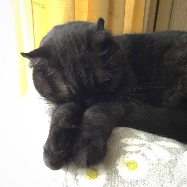 E73e09bd b229 47fd 84ec 35968cbb5ff0