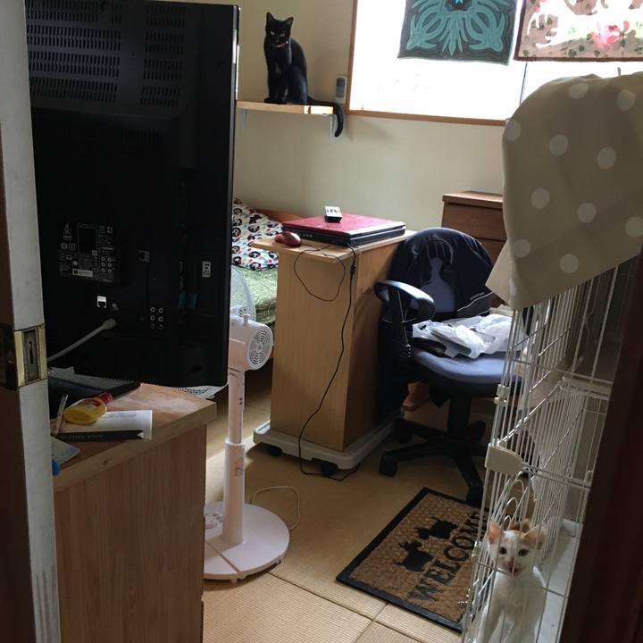 E73e11fe 9b57 4f03 b76c 2854e3a99e95