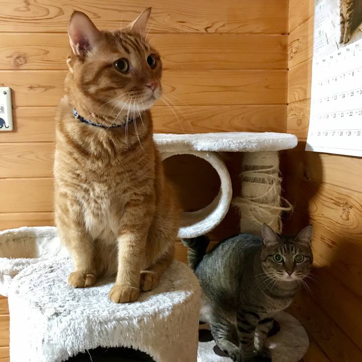 E73e3d1a 8259 463c 9c8f b600764579de