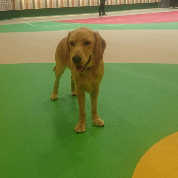 E73e92ee e1b0 4cd1 93a8 4ee6bd396a15