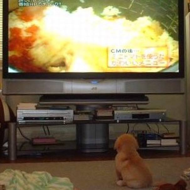 E73ee90e 7e34 454f 8495 921807c2e873