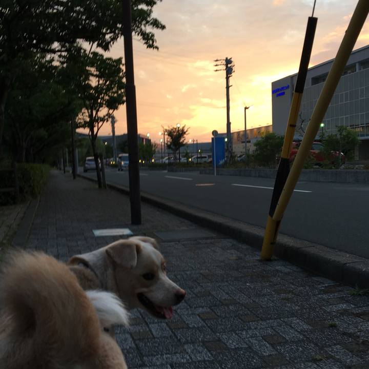 E73f2e5f 4296 4dfe b806 95c8695e9260