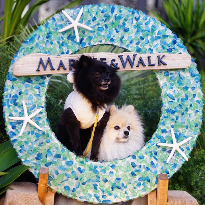 E73f573e 92bb 46d0 ad79 369b051766e7