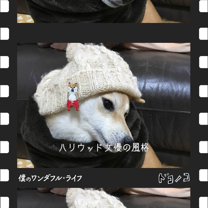 E73fe71e a8ef 4d47 870a c5ba8894f99b