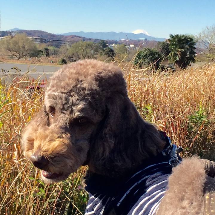 E740e4b1 4d8c 4cd9 a99c 1e2a55753e3d