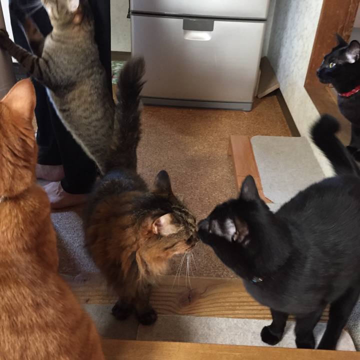 E741b250 f10d 473d a40b d07f0b02e243