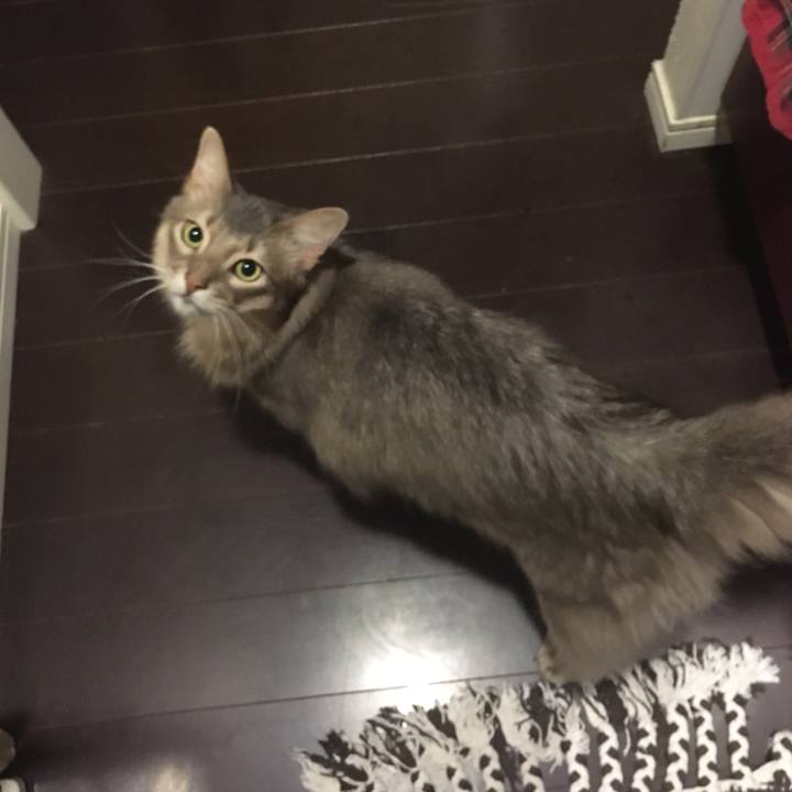 E74314dd 30f4 4fff 9810 15f46897715d