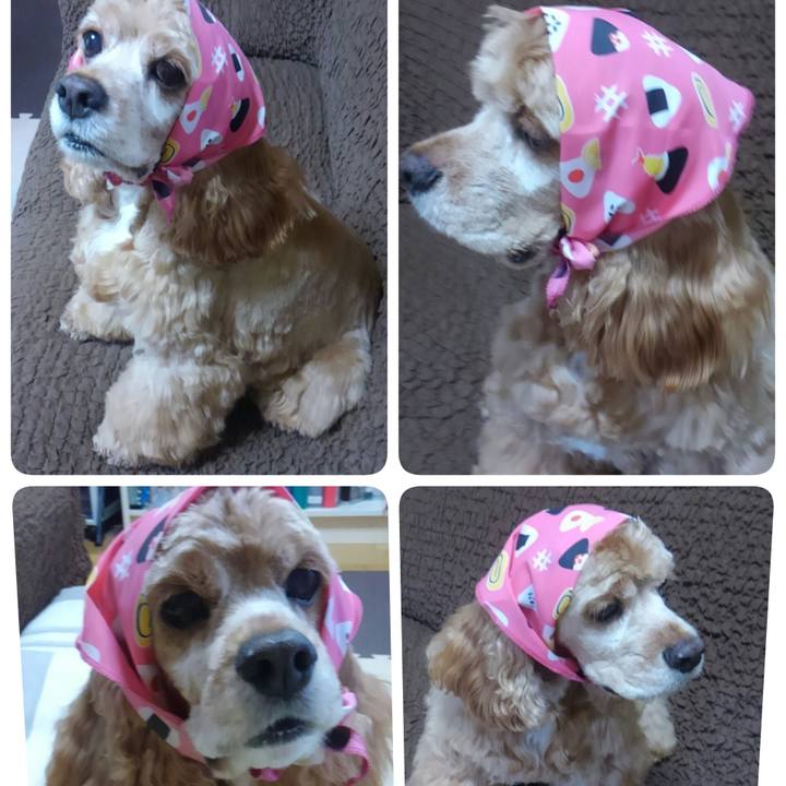 E743675b 9799 4a39 a9e3 6726f37096ed