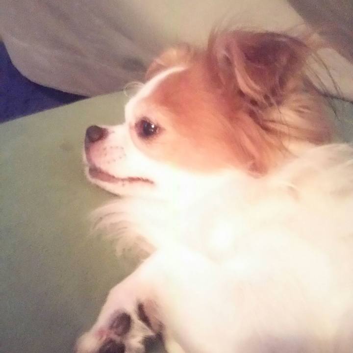 E7437682 cee7 47ea 820a 58132a2b20f4