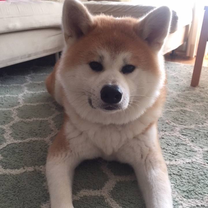 E744235b ef7b 4764 b9a6 ff5879c50de2