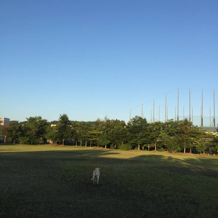 E744be3f 346c 4332 8e35 3f702a870822