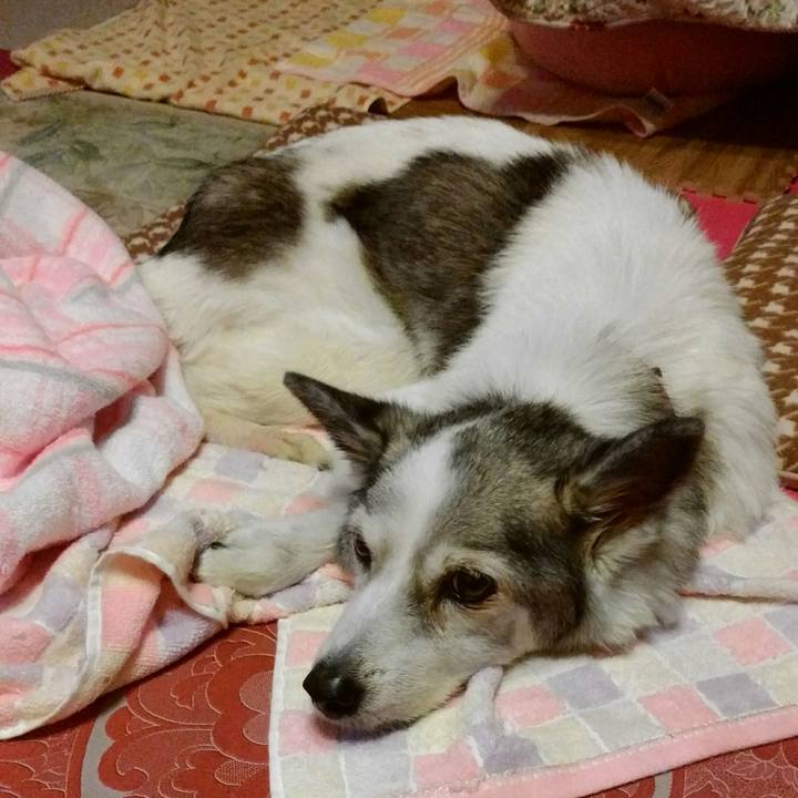 E744eb01 4139 4b66 840d 5cc94947cb24