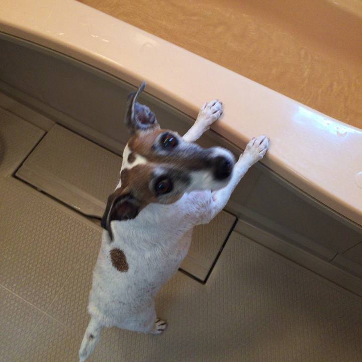 E745c1f4 dab4 4132 b8c8 e321dad5243a