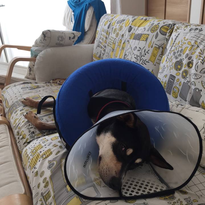 E746f5ae b154 4438 91fd f1468eb58f9d