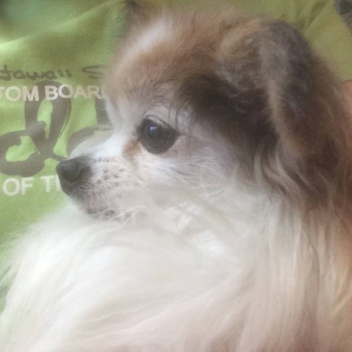 E746fe21 9b77 454d b114 696c9628e41b