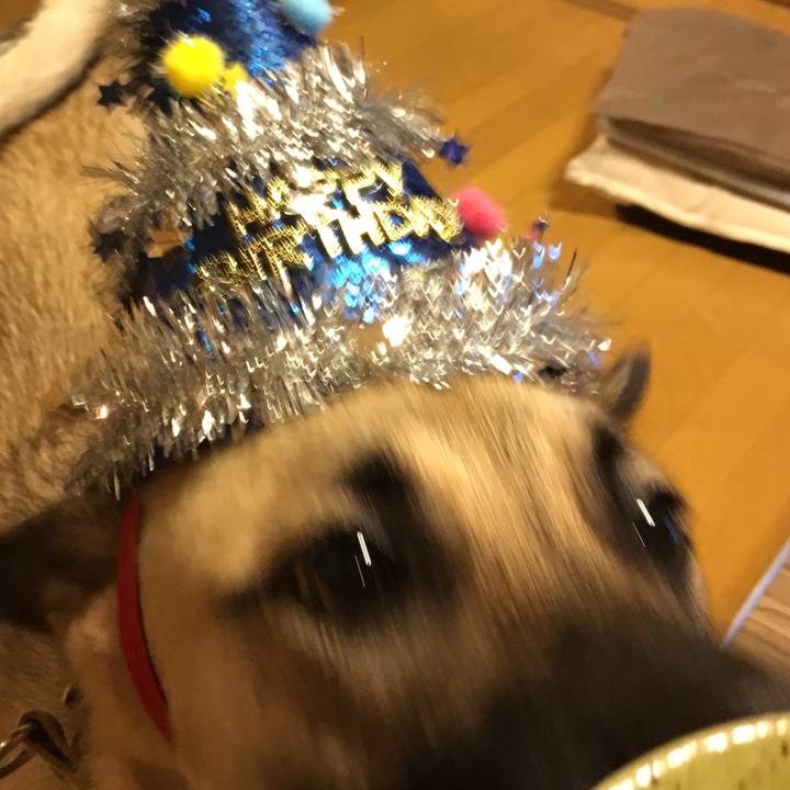 E7472bbe e1b9 4bd2 bbbf c955af0418d6