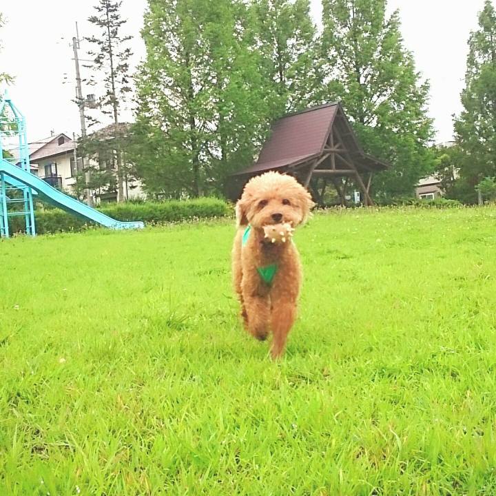 E7479c75 eb0a 4f7e a9e1 e0cf08d66208