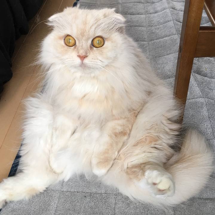 E747c5fc caee 4ef3 924b 909b6f1e648c