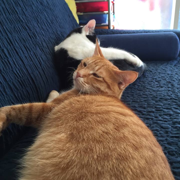 E748a740 416d 4c1f 9618 76dca1fd37a1