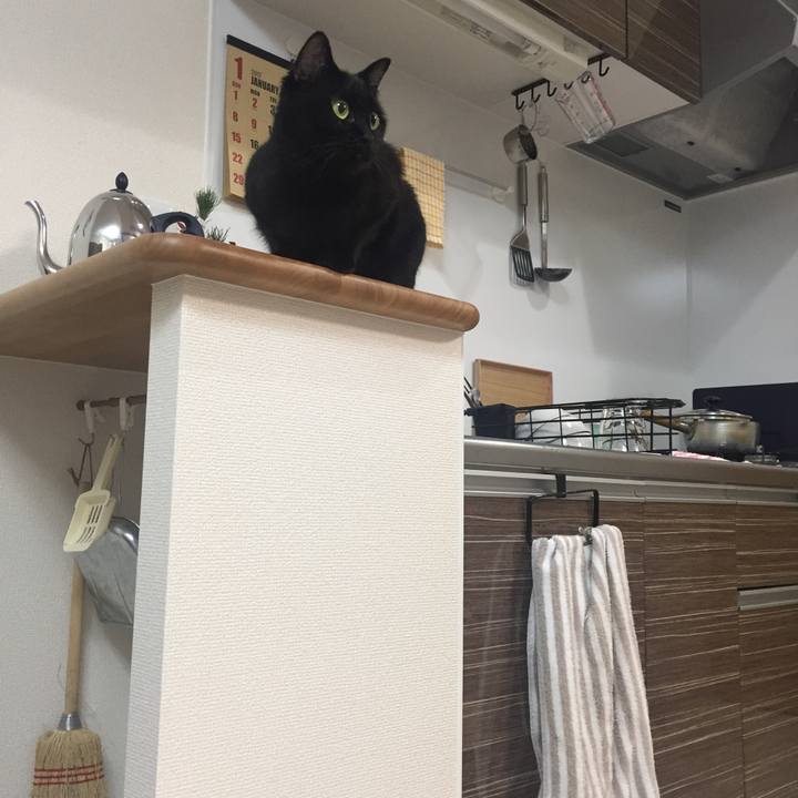 E748e3b9 caa8 4a81 8cbc 3ed355b1c370