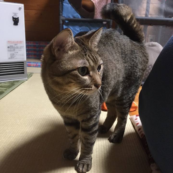 E7496897 c950 4529 9f51 7ade4faf7be0