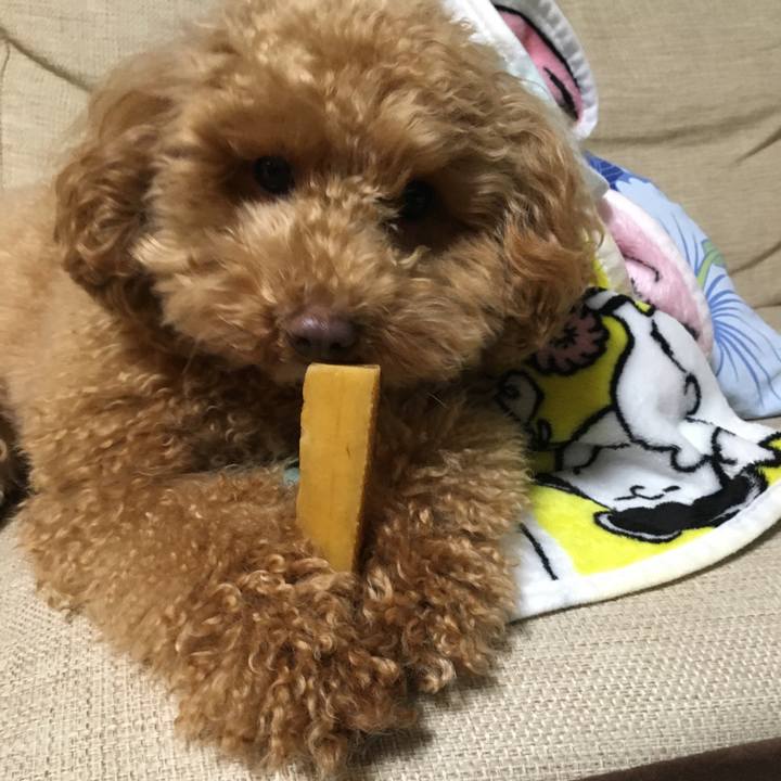 E749e689 137c 47f9 885e 1cdbc9838f43