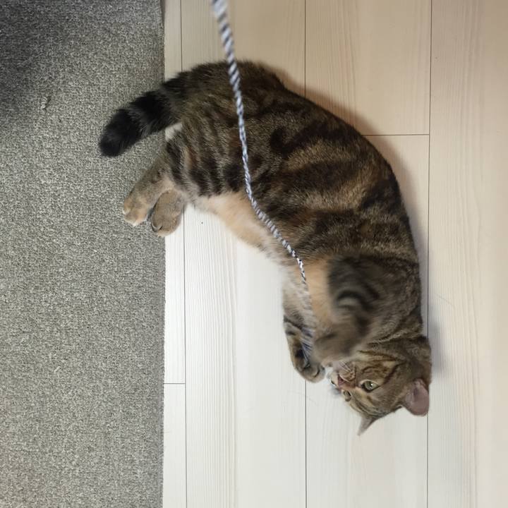 E74a9199 839a 4a5b b735 0594fc46ec0e