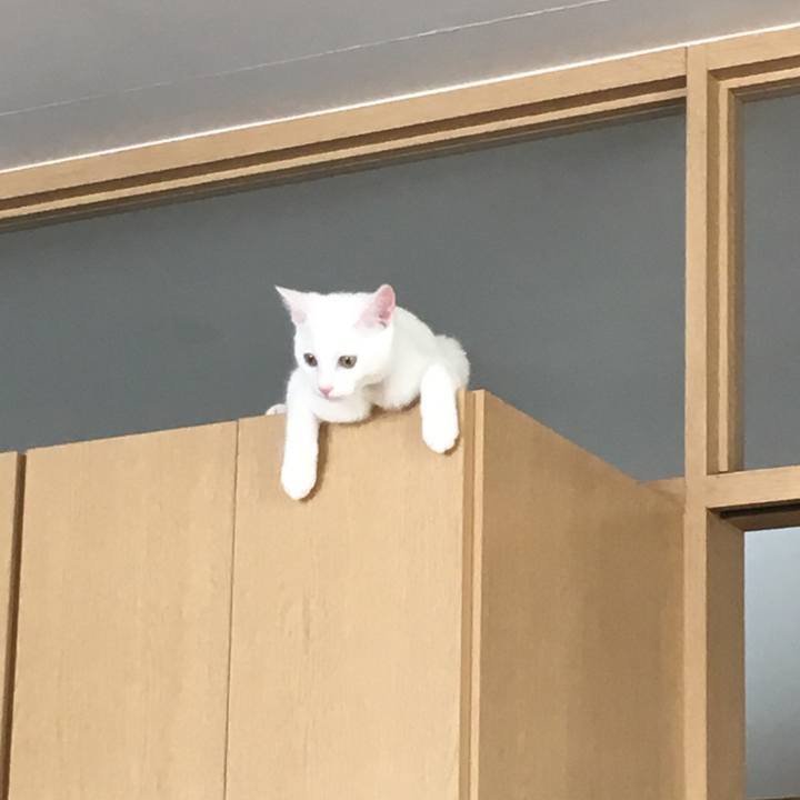 E74aaa24 3505 4dd9 8c4d 039ca0a48be7