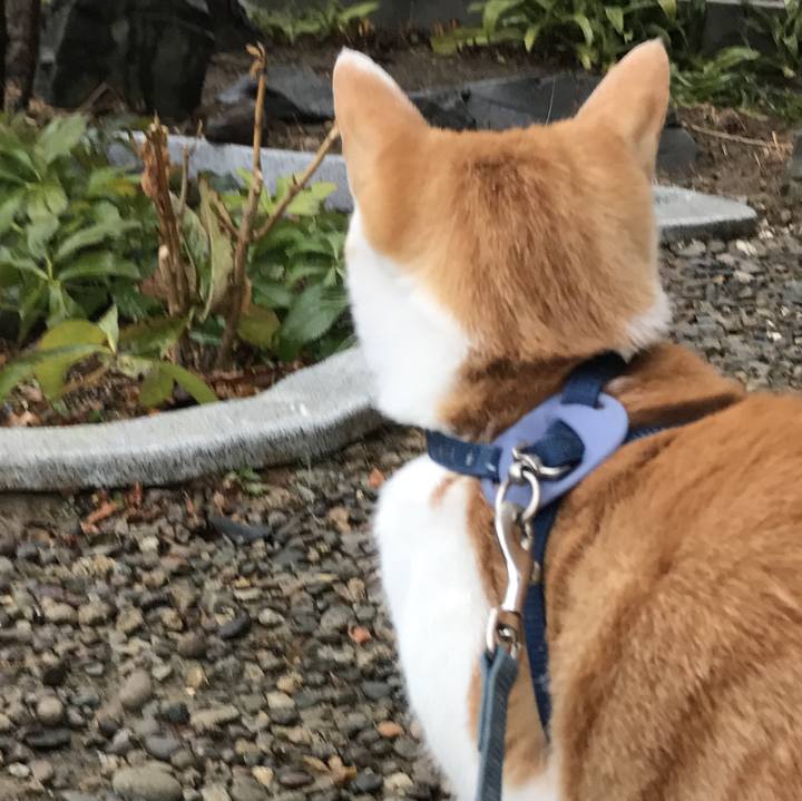 E74ae6eb 4b80 48f7 a132 bb59b46dd69e