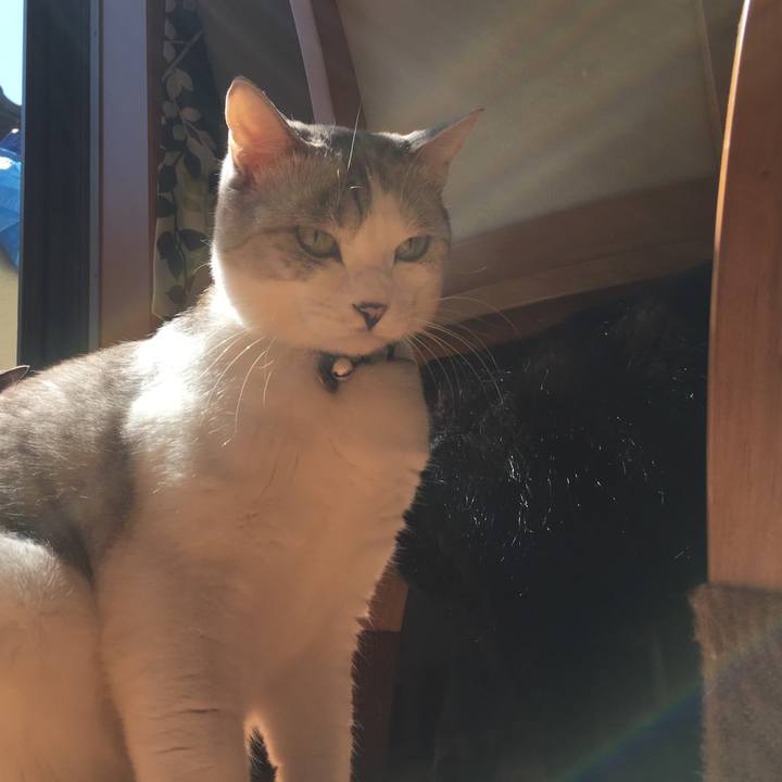 E74b7bdd b8eb 486b 849a f0a8f6e4c92f