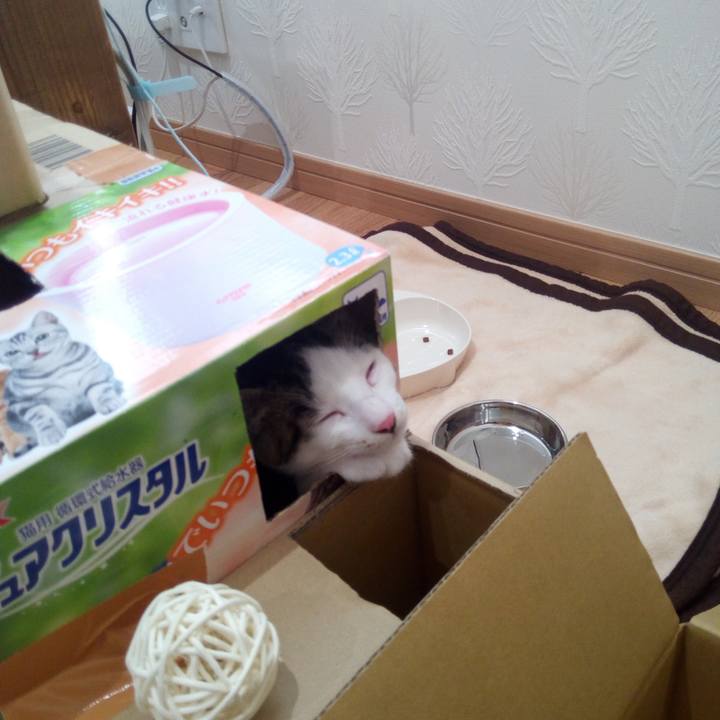 E74c0968 02d4 406c a7c3 3c40b8b48e8a