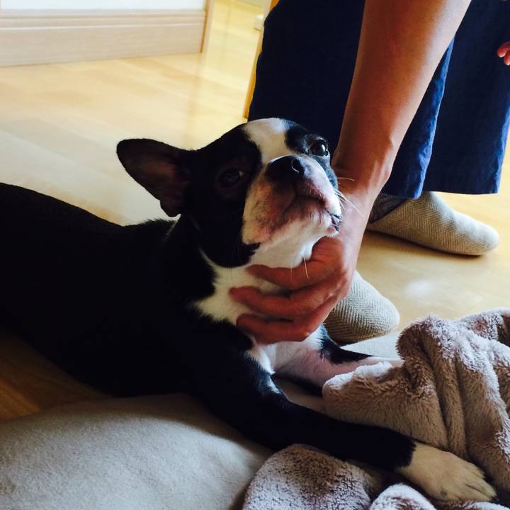 E74cd85c 13bb 421e bee6 924ee7493e92