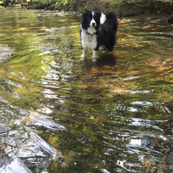 E74cfd09 2c1e 4517 965b 5e59bc46ebf8