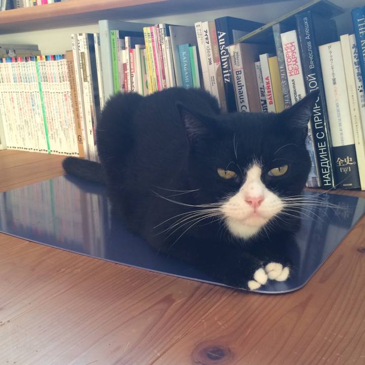 E74d2d6a 411c 44d5 8785 3db9b884f8de