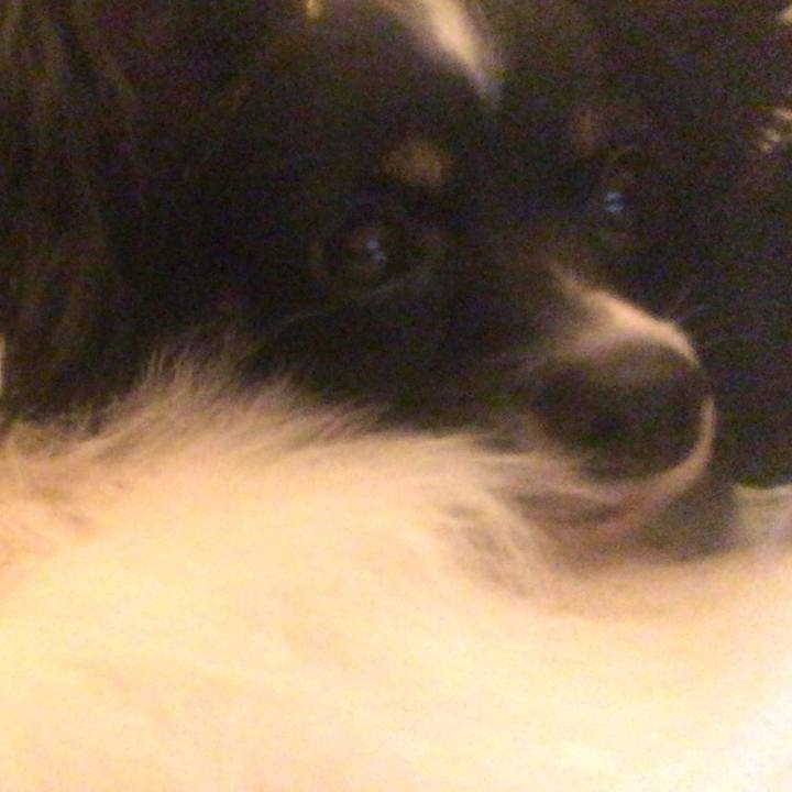 E74d3564 7815 4daa 9522 83d431823af7